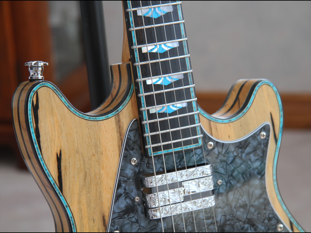 Firebolt in Black & White Ebony with Turquoise Purfling and Fret Markers