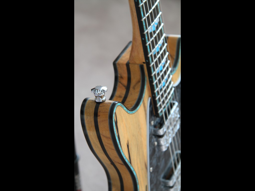 Firebolt in Black & White Ebony with Turquoise Purfling and Fret Markers